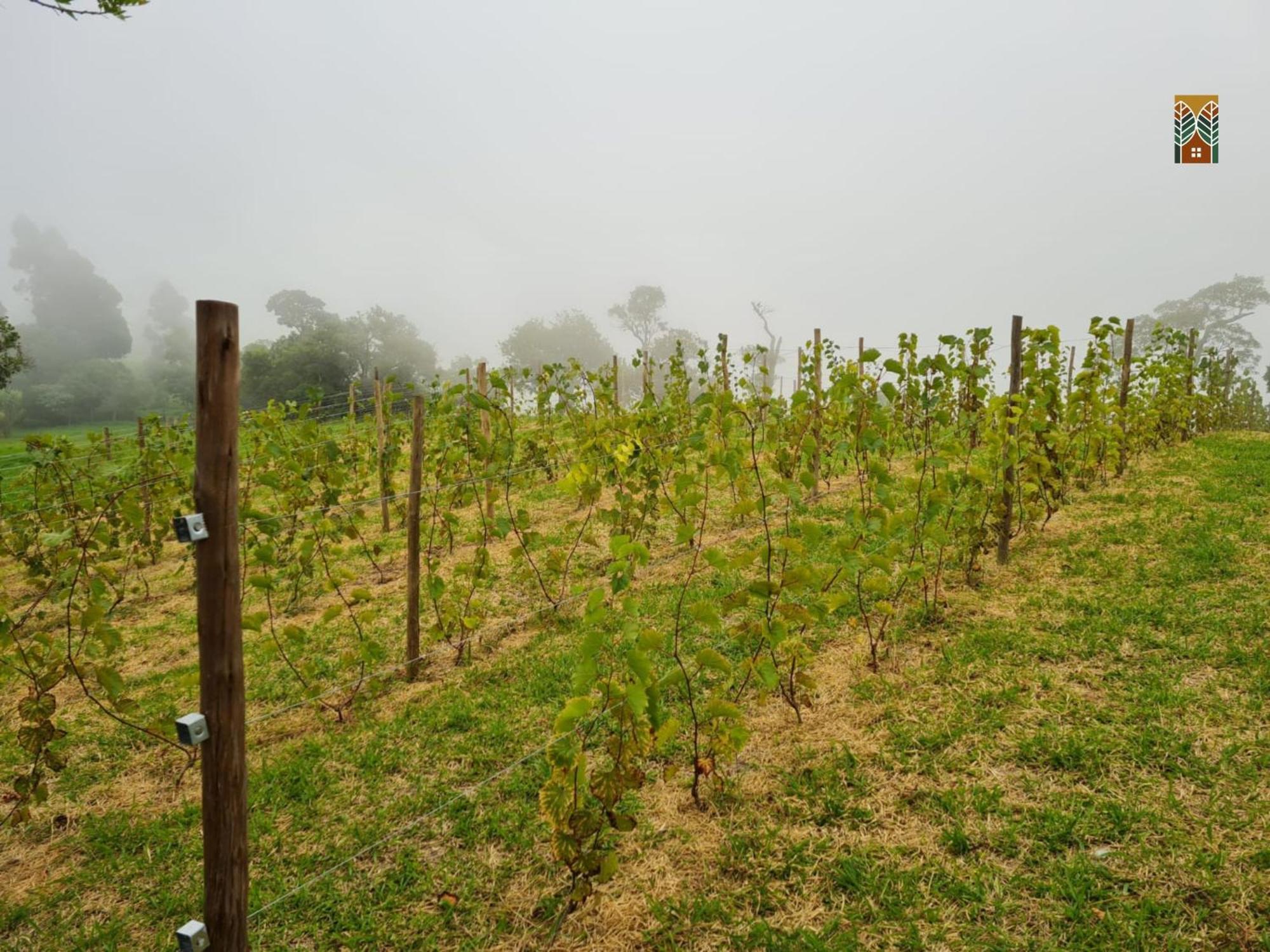 Chales Vinhas Da Harmonia L Pousada Em Cunha Sp 외부 사진