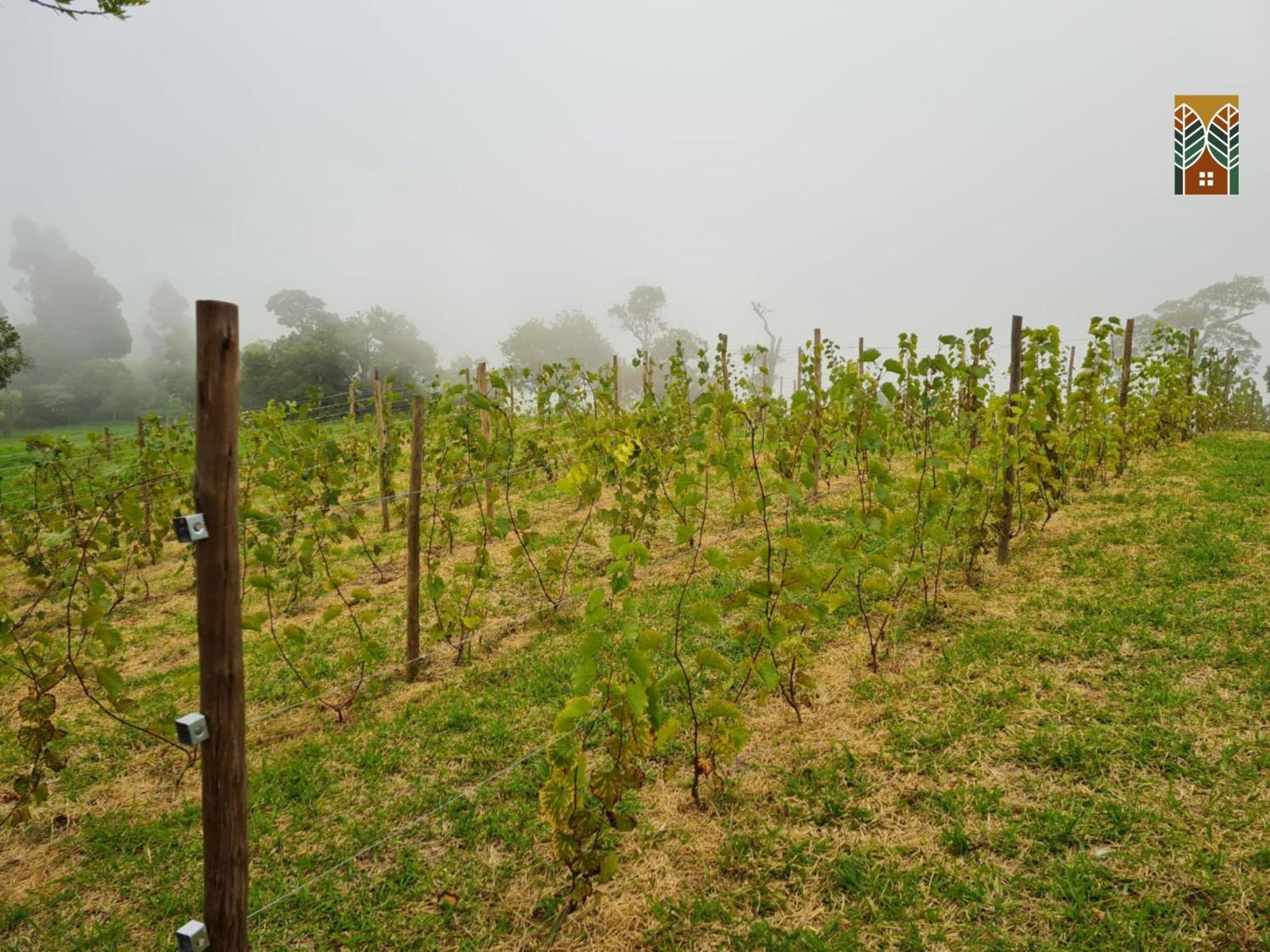 Chales Vinhas Da Harmonia L Pousada Em Cunha Sp 외부 사진